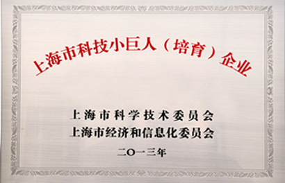 上海市科技小巨人(培育)企業(yè)